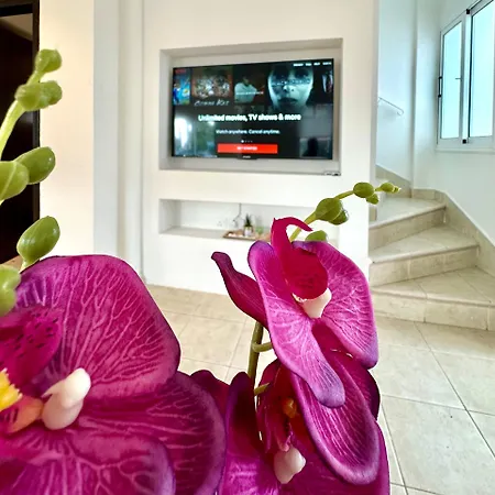 Dream Tropicana - * Αγία Νάπα