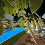 Dream Tropicana - *