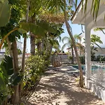 Dream Tropicana -