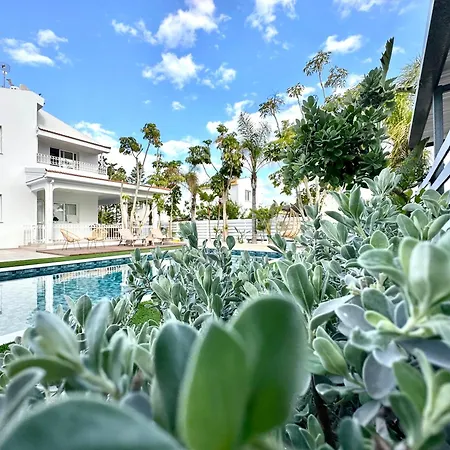 Dream Tropicana - Villa *