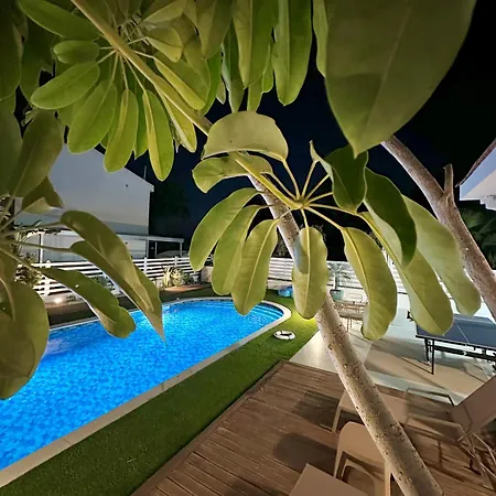Dream Tropicana - *
