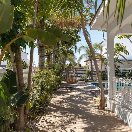 Dream Tropicana -