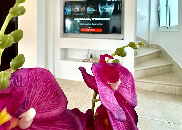 Dream Tropicana - * アヤナパ